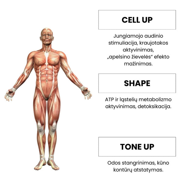 KATRINA  aparatas odos biorevitalizacijai ir mezoterapijai be adatų. Kūno procedūros rezultatas.