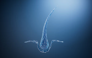 Baltymų revoliucija: keratinas, kolagenas, amino rūgštys ir biotinas – ketvertas, kuris atgaivina tavo plaukus