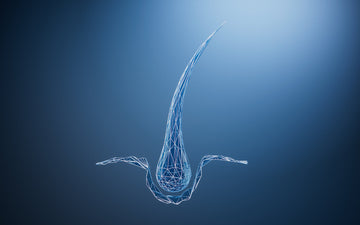 Baltymų revoliucija: keratinas, kolagenas, amino rūgštys ir biotinas – ketvertas, kuris atgaivina tavo plaukus